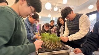 치유숲모이라양재순님의 팜모닝공식 · 광고승인요청 작성글 사진