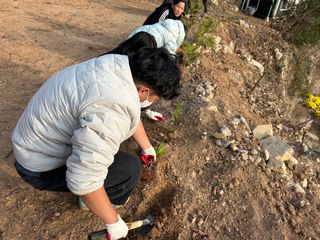 치유숲모이라양재순님의 팜모닝공식 · 광고승인요청 작성글 사진