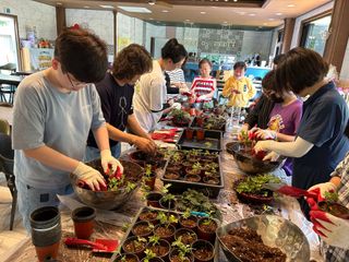 치유숲모이라양재순님의 팜모닝공식 · 광고승인요청 작성글 사진