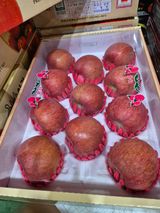 팜모닝 사과·영농일지 게시글 이미지