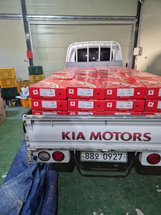 사과와곶감님의 사과 · 영농일지 작성글 사진