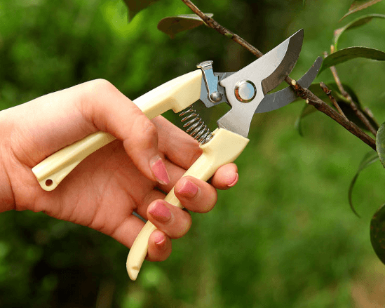 봉주르님의 장터 판매 상품 [스텐 인공손톱 팝니다] 첨부 사진