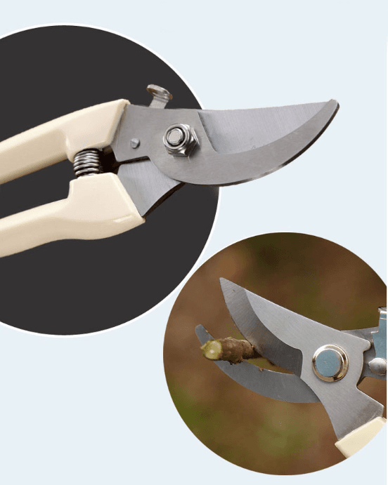 봉주르님의 장터 판매 상품 [스텐 인공손톱 팝니다] 첨부 사진