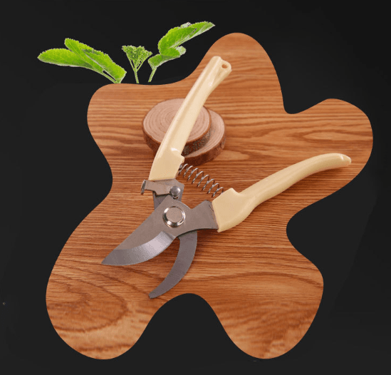 봉주르님의 장터 판매 상품 [스텐 인공손톱 팝니다] 첨부 사진