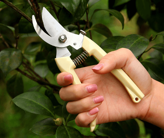 봉주르님의 장터 판매 상품 [스텐 인공손톱 팝니다] 첨부 사진