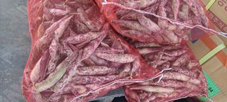 신동원님의 그동안 생산한 농작물은? · 참여글 작성글 사진