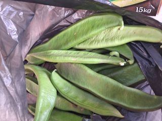 신동원님의 그동안 생산한 농작물은? · 참여글 작성글 사진