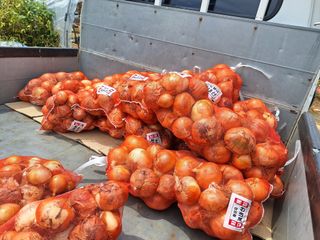 신동원님의 그동안 생산한 농작물은? · 참여글 작성글 사진