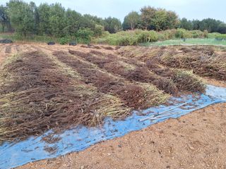 신동원님의 그동안 생산한 농작물은? · 참여글 작성글 사진