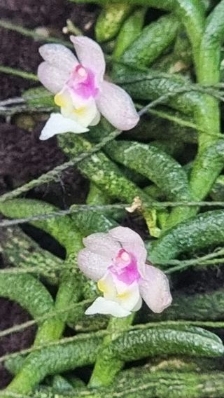 푸른꿈님의 자유주제 · 자유게시판 작성글 사진