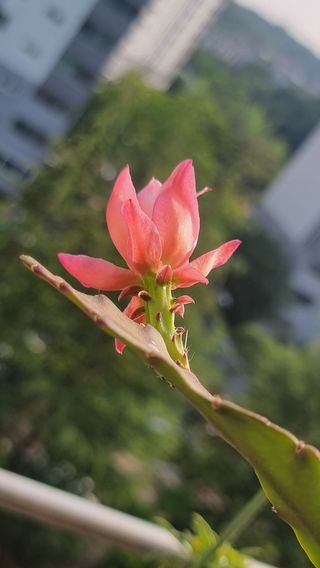 푸른꿈님의 자유주제 · 자유게시판 작성글 사진