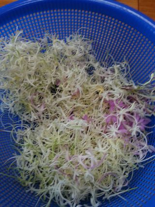 푸른꿈님의 자유주제 · 자유게시판 작성글 사진