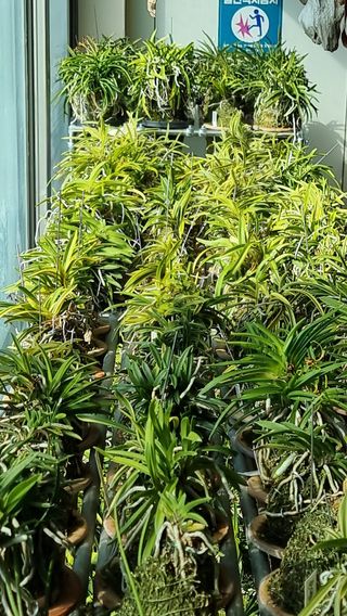 푸른꿈님의 자유주제 · 자유게시판 작성글 사진