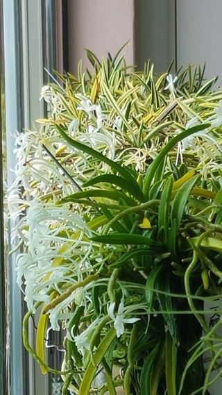 푸른꿈님의 자유주제 · 자유게시판 작성글 사진