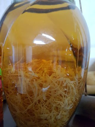 푸른꿈님의 자유주제 · 자유게시판 작성글 사진