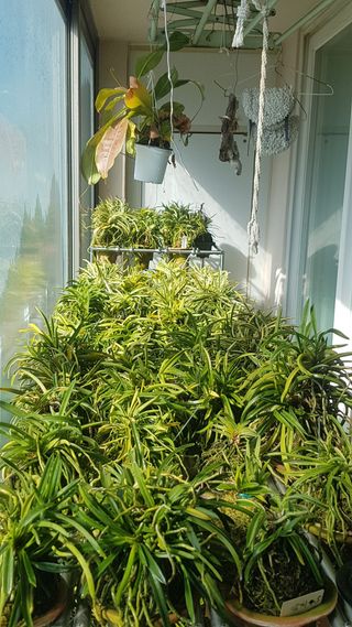 푸른꿈님의 자유주제 · 자유게시판 작성글 사진