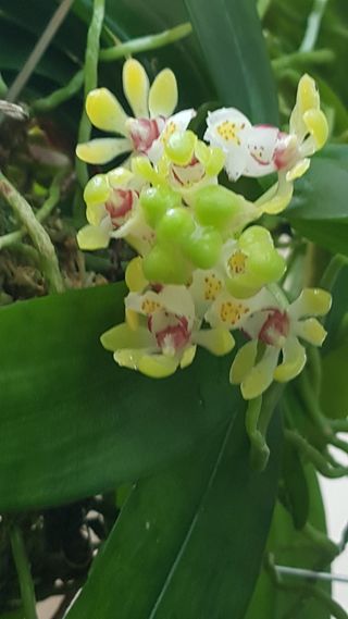 푸른꿈님의 자유주제 · 자유게시판 작성글 사진