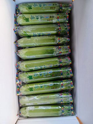 879412님의 그동안 생산한 농작물은? · 참여글 작성글 사진