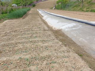 서씨농장님의 그동안 생산한 농작물은? · 참여글 작성글 사진