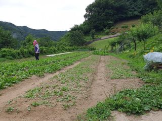 서씨농장님의 그동안 생산한 농작물은? · 참여글 작성글 사진