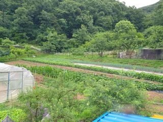 서씨농장님의 그동안 생산한 농작물은? · 참여글 작성글 사진