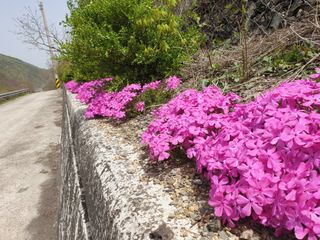 서씨농장님의 그동안 생산한 농작물은? · 참여글 작성글 사진