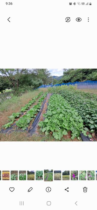 남궁봉님의 그동안 생산한 농작물은? · 참여글 작성글 사진