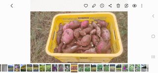 남궁봉님의 그동안 생산한 농작물은? · 참여글 작성글 사진