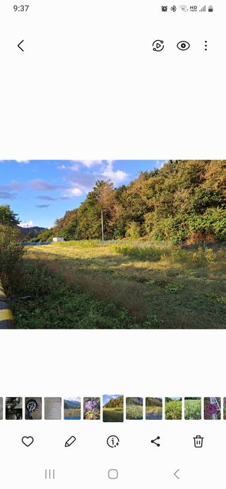 남궁봉님의 그동안 생산한 농작물은? · 참여글 작성글 사진