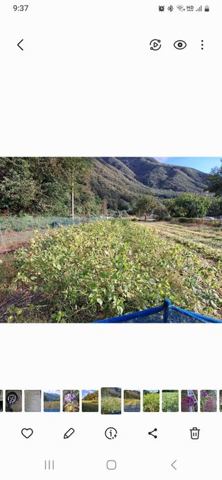 남궁봉님의 그동안 생산한 농작물은? · 참여글 작성글 사진