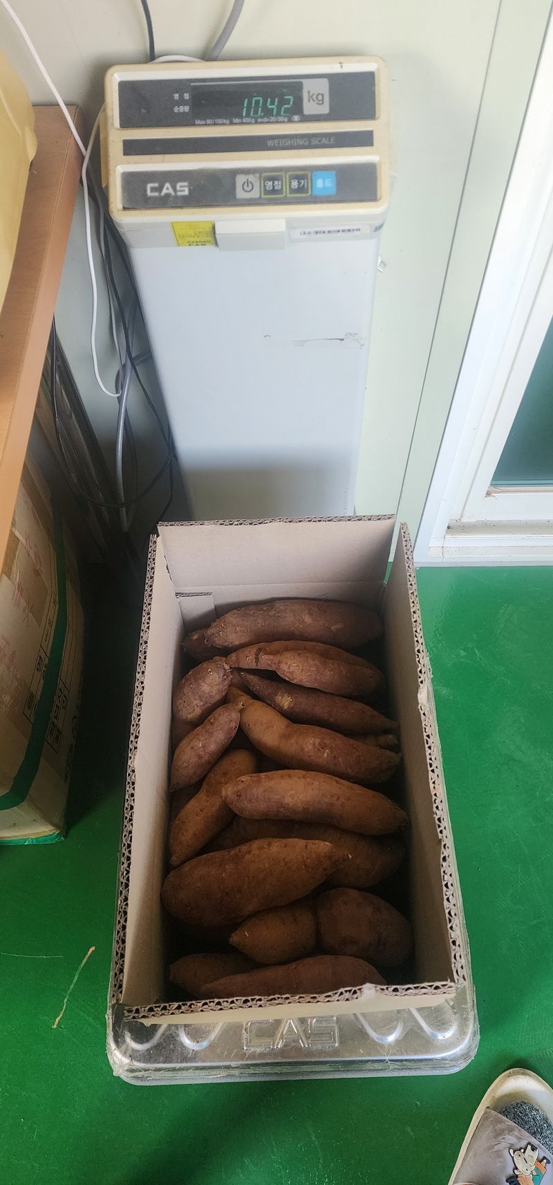 장터 상품 [꿀밤고구마10kg 1박스] 썸네일