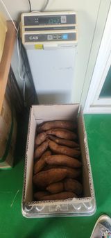 팜모닝 · 게시글 이미지