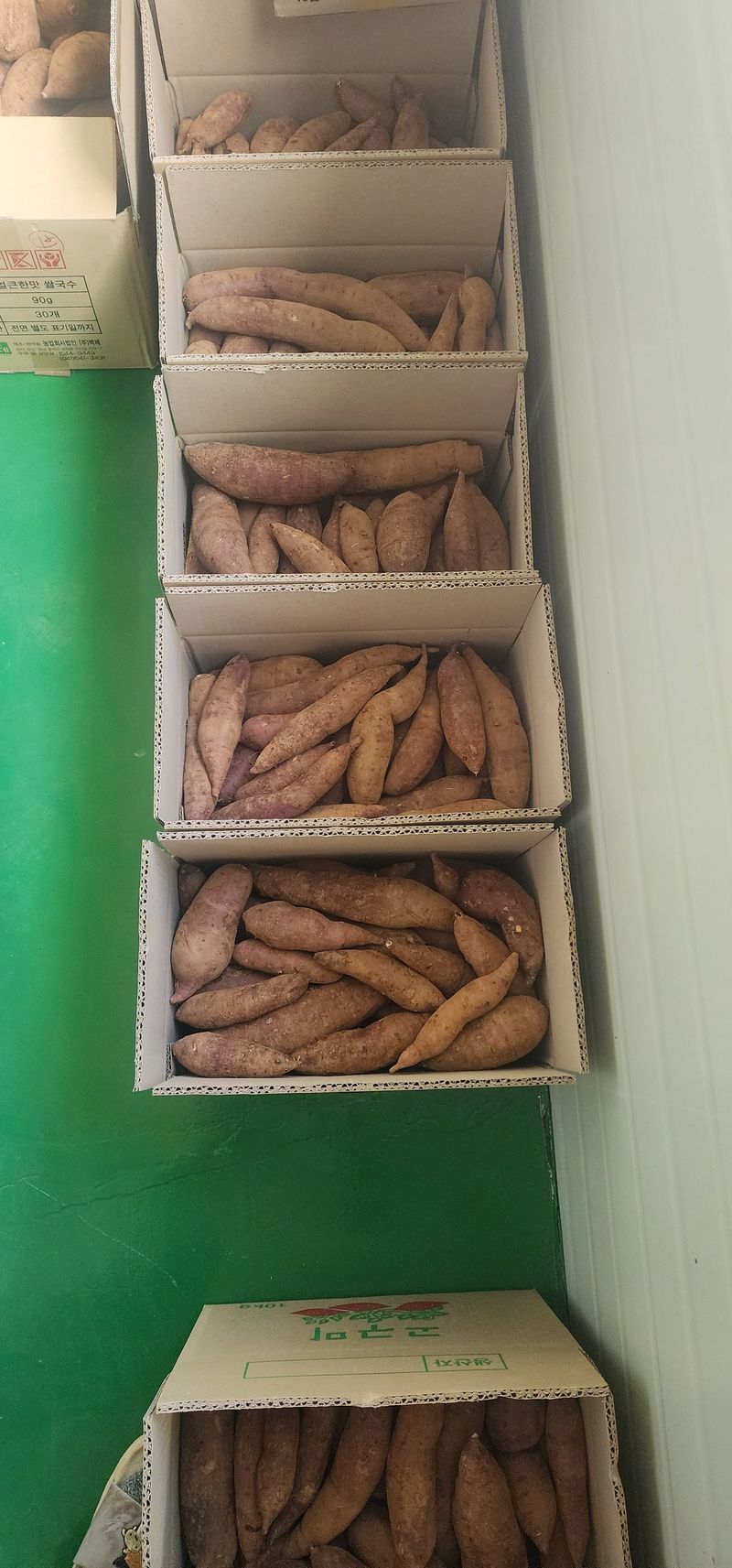 하이킥님의 장터 판매 상품 [꿀밤고구마10kg 1박스] 첨부 사진