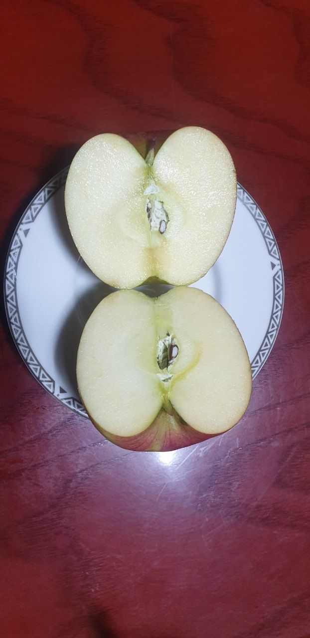 호랑이와인성이님의 장터 판매 상품 [봉화 부사 5kg] 첨부 사진