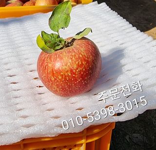 호랑이와인성이님의 작성글 사진