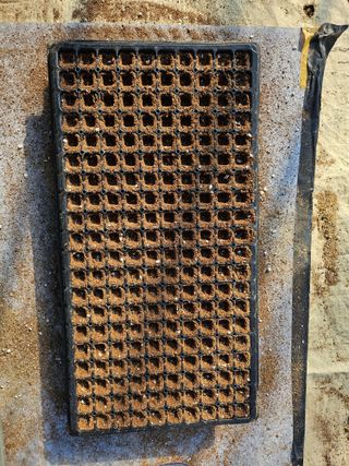 김남근님의 파 · 자유게시판 작성글 사진