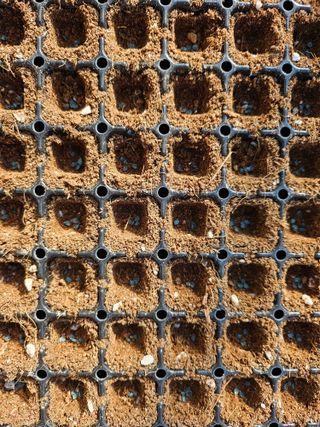 김남근님의 파 · 자유게시판 작성글 사진