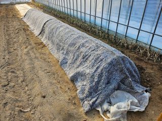 김남근님의 파 · 자유게시판 작성글 사진