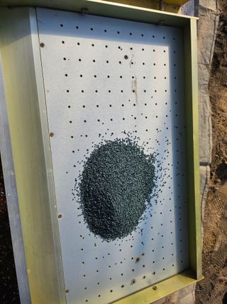 김남근님의 파 · 자유게시판 작성글 사진