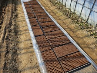 김남근님의 파 · 자유게시판 작성글 사진