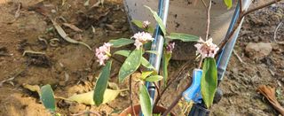 하하하레몬원님의 자유주제 · 사진전 작성글 사진