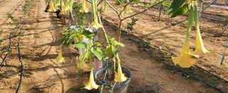 하하하레몬원님의 자유주제 · 사진전 작성글 사진