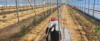 하하하레몬원님의 자유주제 · 사진전 작성글 사진