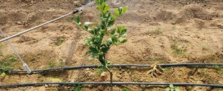 하하하레몬원님의 자유주제 · 사진전 작성글 사진