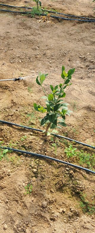 하하하레몬원님의 자유주제 · 사진전 작성글 사진