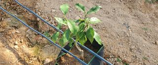 하하하레몬원님의 자유주제 · 사진전 작성글 사진