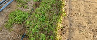 하하하레몬원님의 자유주제 · 사진전 작성글 사진