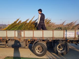 영천경마장조경수농원님의 그동안 생산한 농작물은? · 참여글 작성글 사진