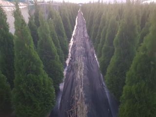 영천경마장조경수농원님의 그동안 생산한 농작물은? · 참여글 작성글 사진