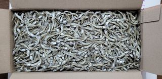 이미경님의 작성글 사진